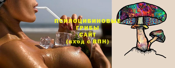 шишки Горнозаводск