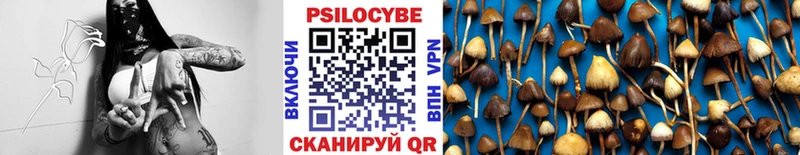 Псилоцибиновые грибы ЛСД МЕГА ссылка Онега