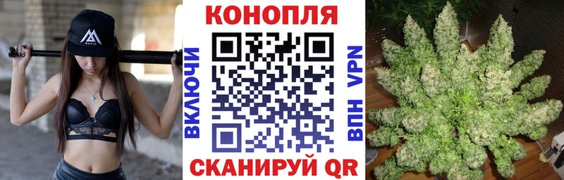 Конопля конопля  дарнет шоп  Онега 